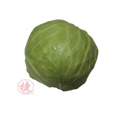 Cabbage White 
